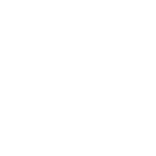 Velseyora logo